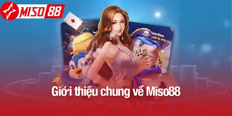 Giới thiệu chung về Miso88