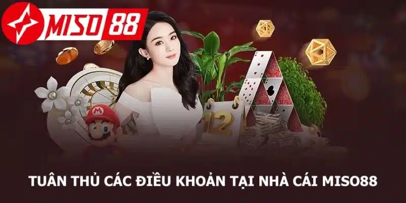 Hội viên cần phải tuân thủ điều khoản mà nhà cái đã đặt ra