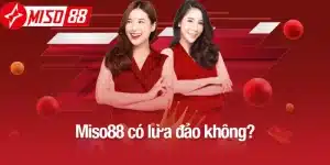miso88 có lừa đảo không