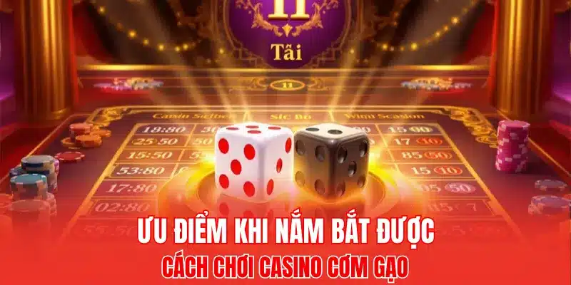 Lợi thế khi có cách chơi casino cơm gạo